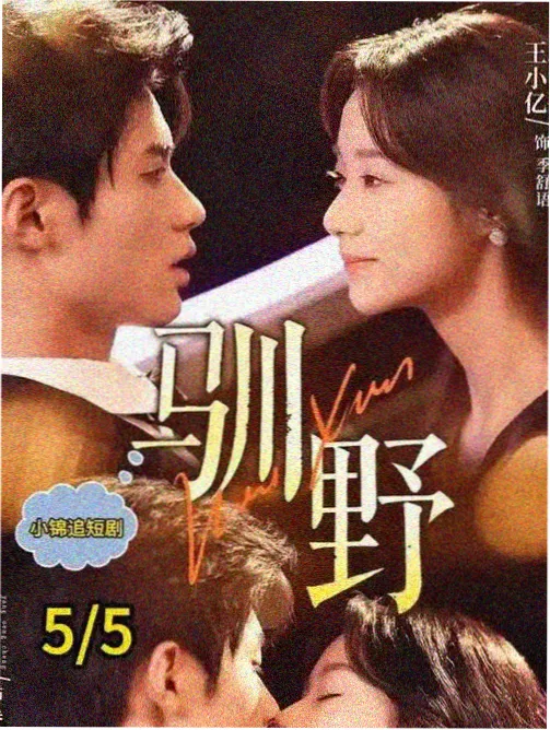 夏日题材剧集市场分析配图